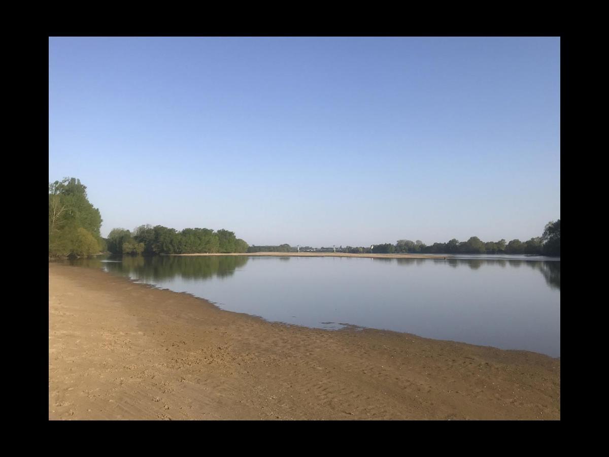 Une Nuit Sur Loire Treves-Cunault Exterior foto